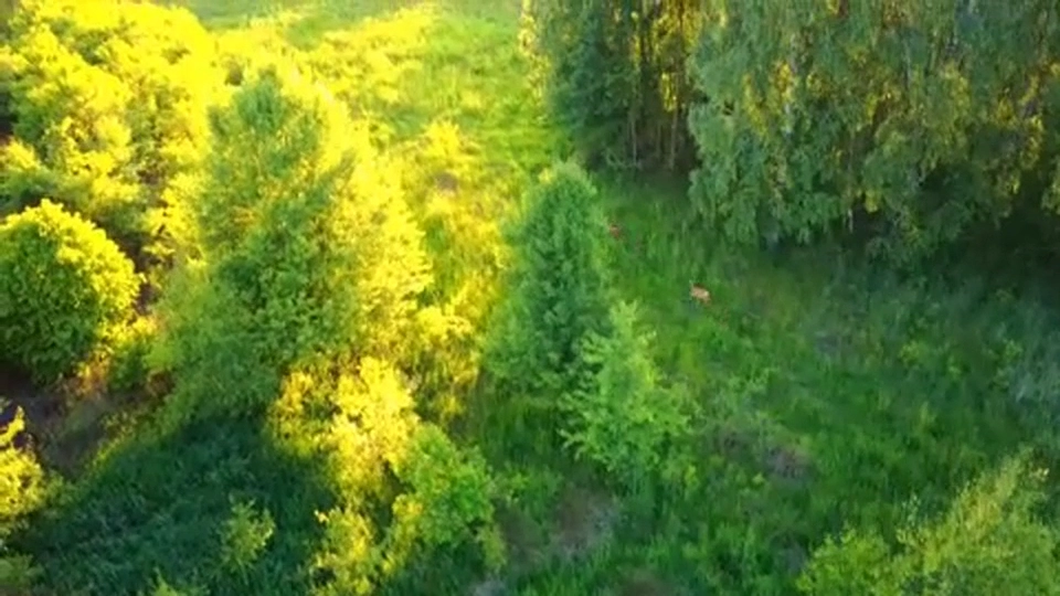 Mieszkańcy i krajobraz miejscowości Sowińce